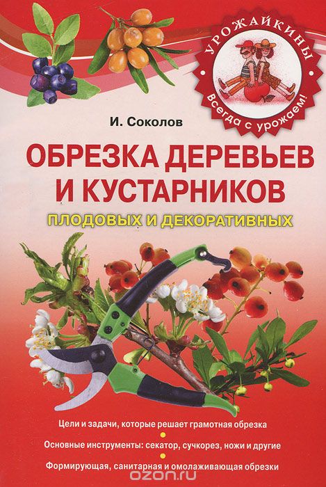 Скачать книгу "Обрезка деревьев и кустарников плодовых и декоративных, Соколов И.И."
