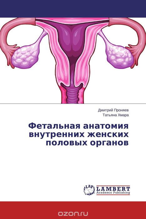 Фетальная анатомия внутренних женских половых органов, Дмитрий Проняев und Татьяна Хмара