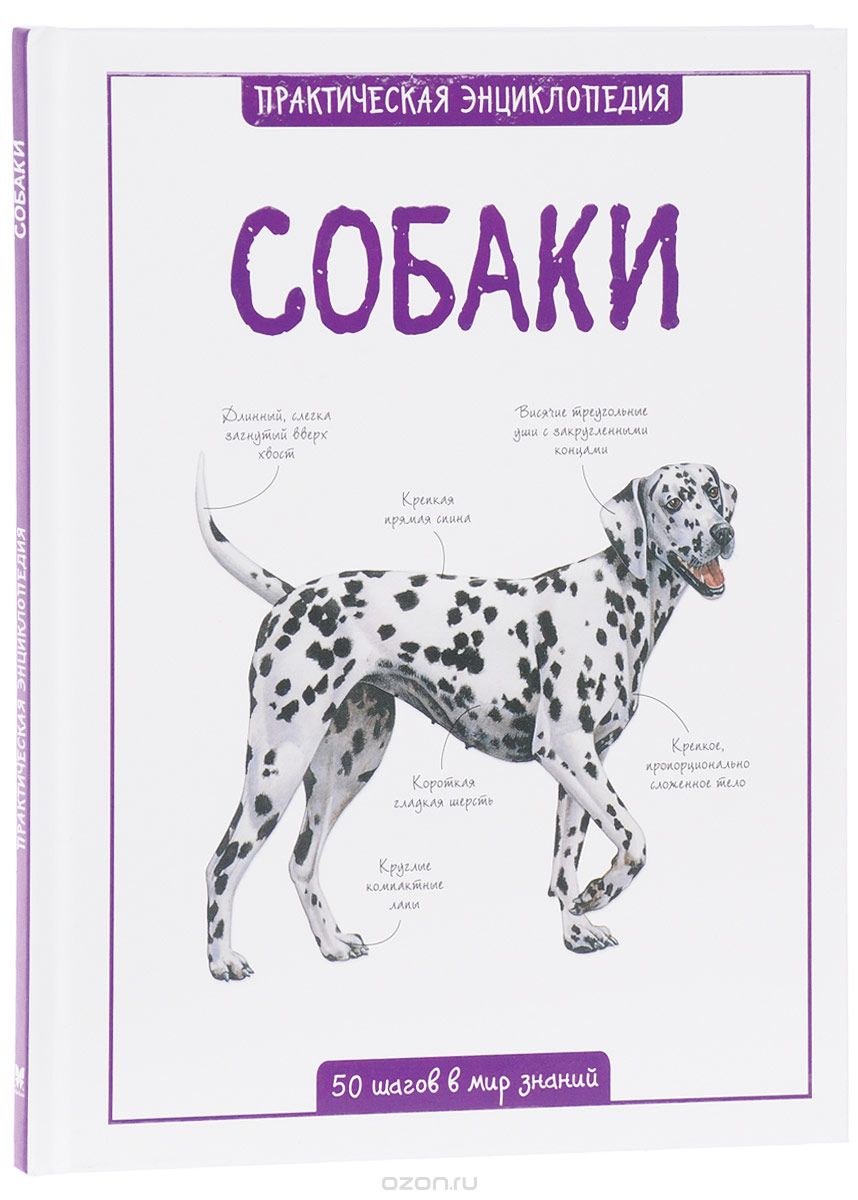 Собаки, К. Бедуайер