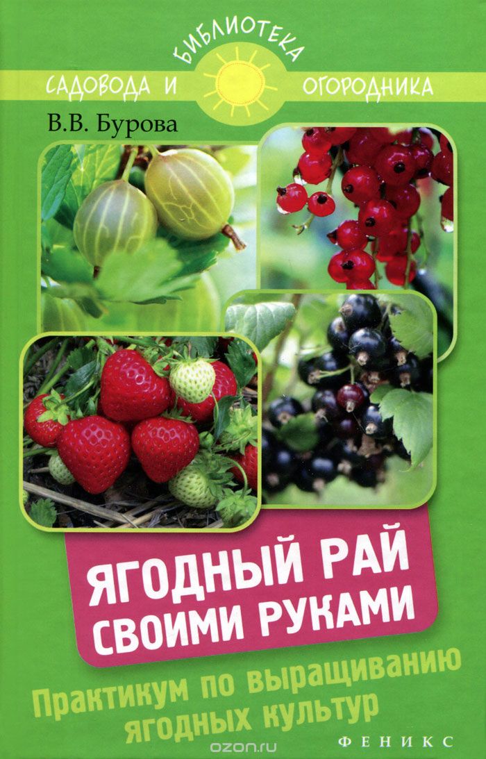 Скачать книгу "Ягодный рай своими руками. Практикум по выращиванию ягодных культур, В. В. Бурова"