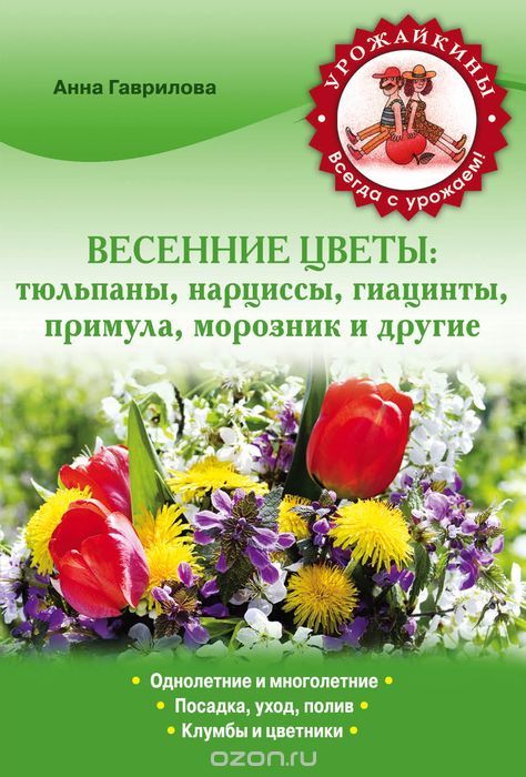Весенние цветы. Тюльпаны, нарциссы, гиацинты, примула, морозник и другие, Анна Гаврилова