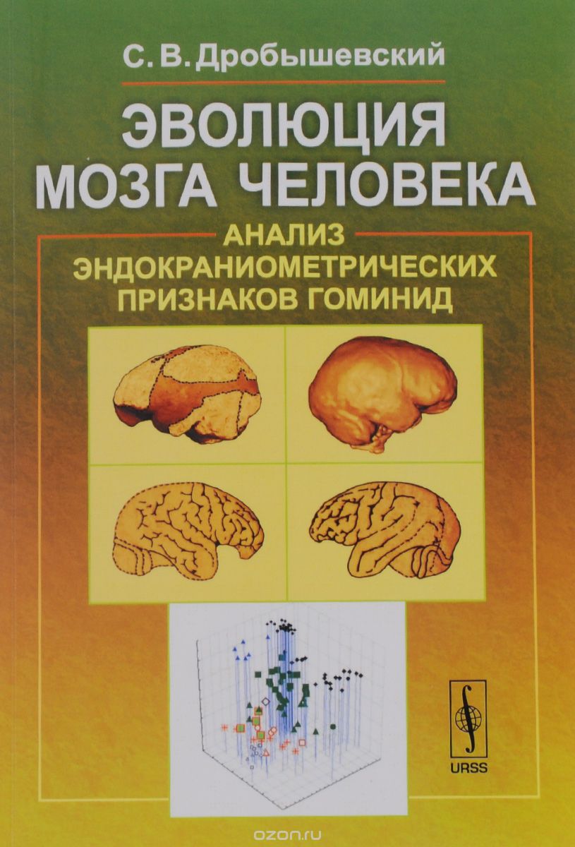 Эволюция мозга человека. Анализ эндокраниометрических признаков гоминид, С. В. Дробышевский