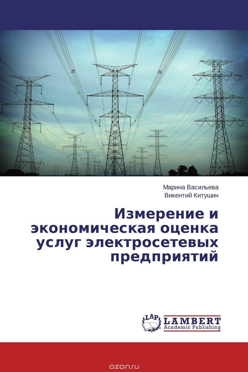 Измерение и экономическая оценка услуг электросетевых предприятий, Марина Васильева und Викентий Китушин