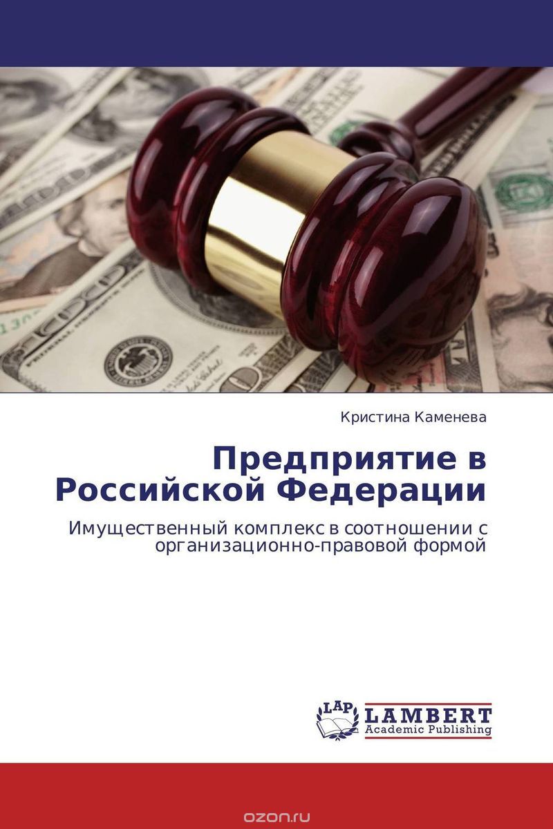 Скачать книгу "Предприятие в Российской Федерации, Кристина Каменева"