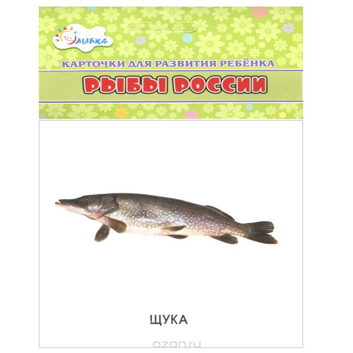 Скачать книгу "Рыбы России (набор из 12 карточек)"