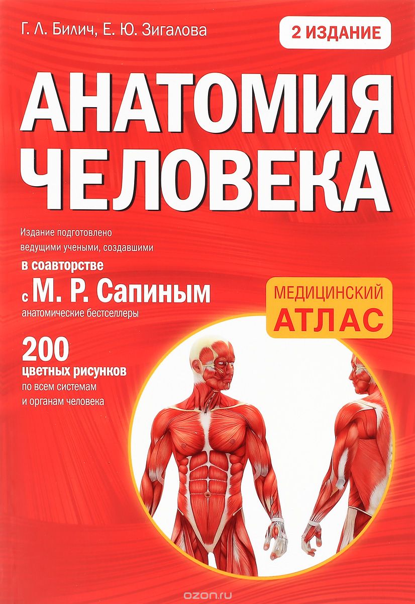 Анатомия человека, Г. Л. Билич, Е. Ю. Зигалова