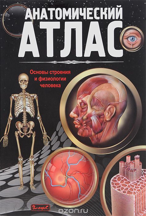 Скачать книгу "Анатомический атлас. Основы строения и физиологии человека"