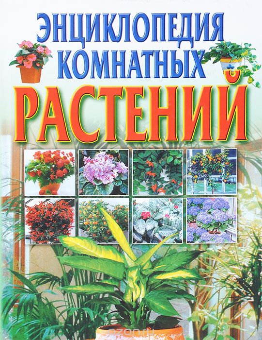 Скачать книгу "Энциклопедия комнатных растений"