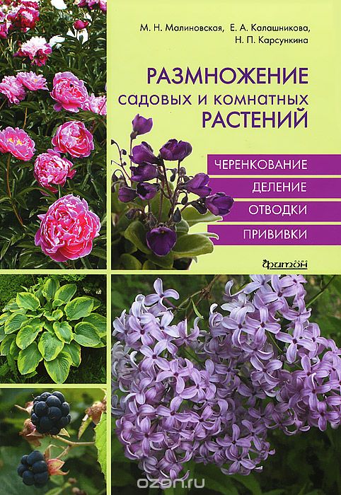 Скачать книгу "Размножение садовых и комнатных растений, М. Н. Малиновская, Е. А. Калашникова, Н. П. Карсункина"
