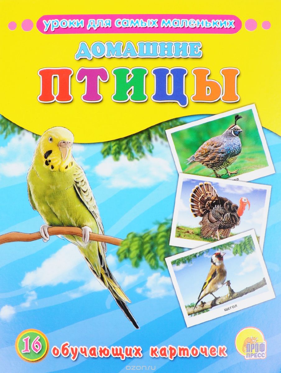 Домашние птицы (набор из 16 обучающих карточек)