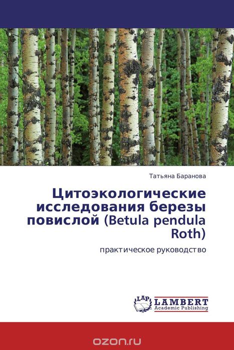 Цитоэкологические исследования березы повислой (Betula pendula Roth), Татьяна Баранова