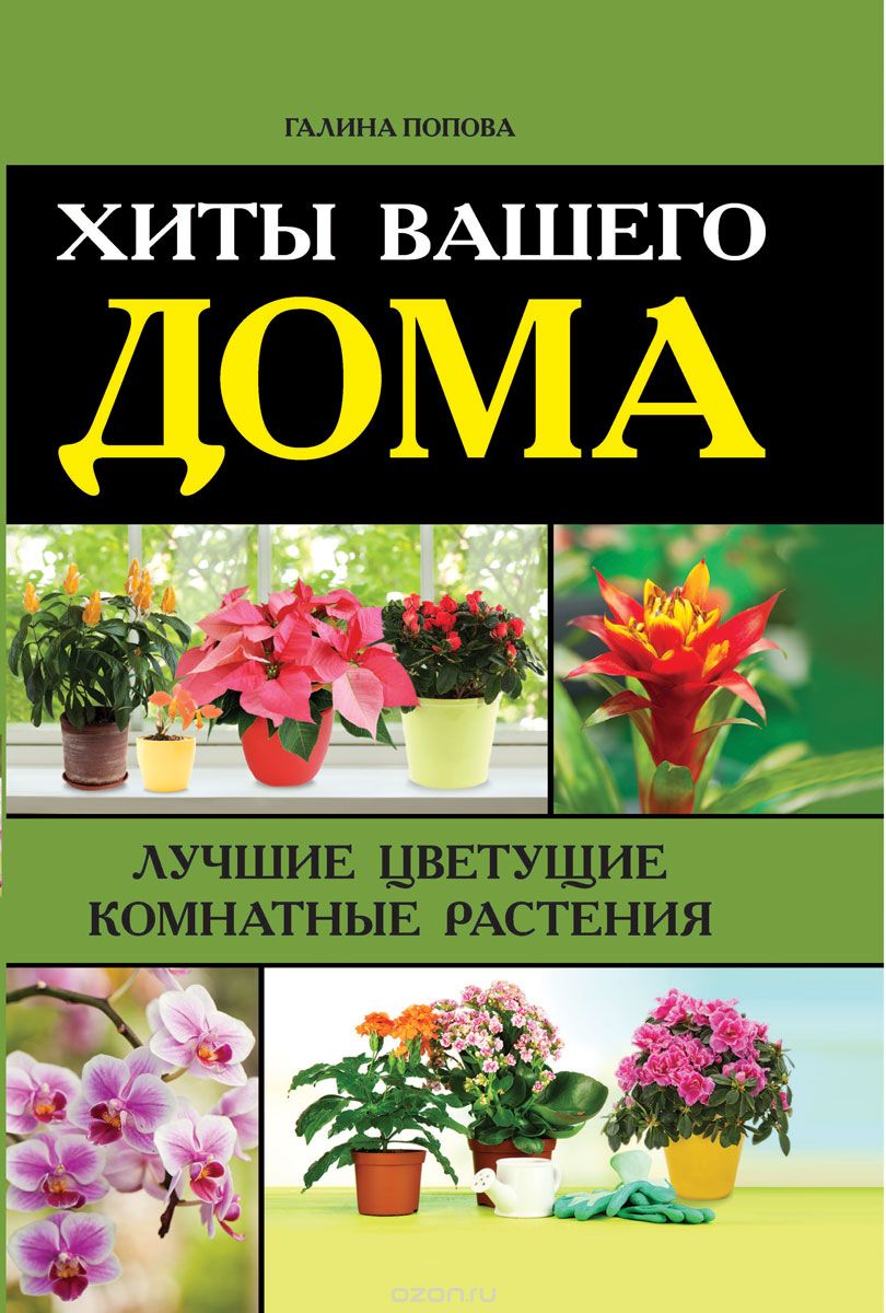 Скачать книгу "Хиты вашего дома. Лучшие цветущие комнатные растения, Попова Г.Р."